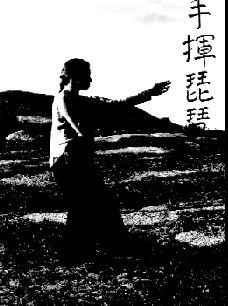 Play the Pei Pa